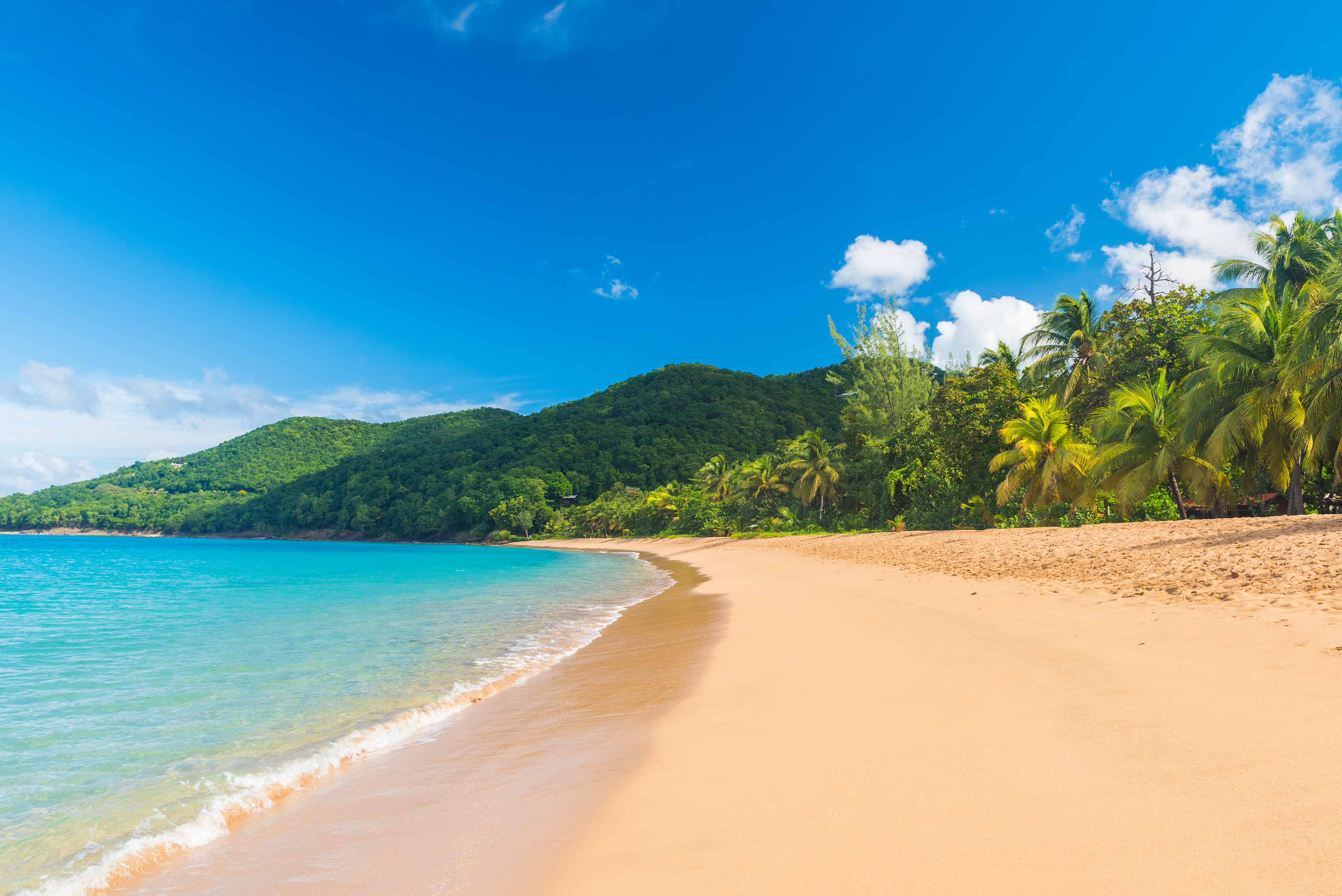 Plage de Grande Anse à Deshaies en Guadeloupe, montrant une longue courbe de sable doré bordée de palmiers et de collines verdoyantes, face à une mer turquoise calme sous un ciel bleu.