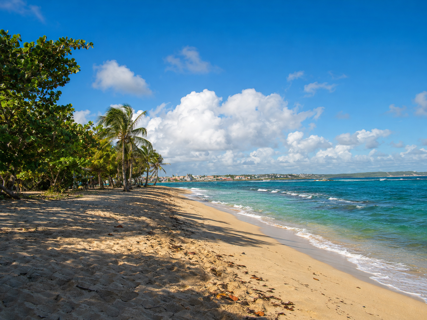 Plage de l'Autre Bord au Moule en Guadeloupe, montrant une étendue de sable fin bordée de palmiers et de végétation, face à une mer turquoise sous un ciel parsemé de nuages blancs.