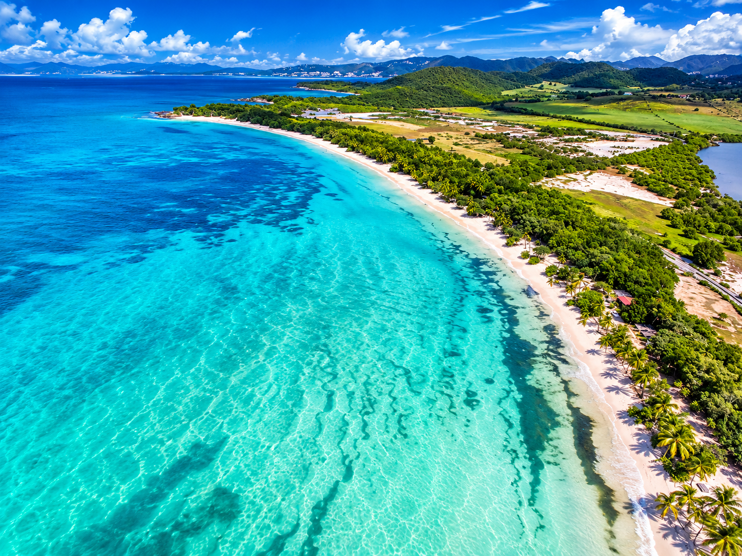Vue aérienne de la plage des Salines en Martinique : longue bande de sable blanc, lagon turquoise limpide et cocotiers.