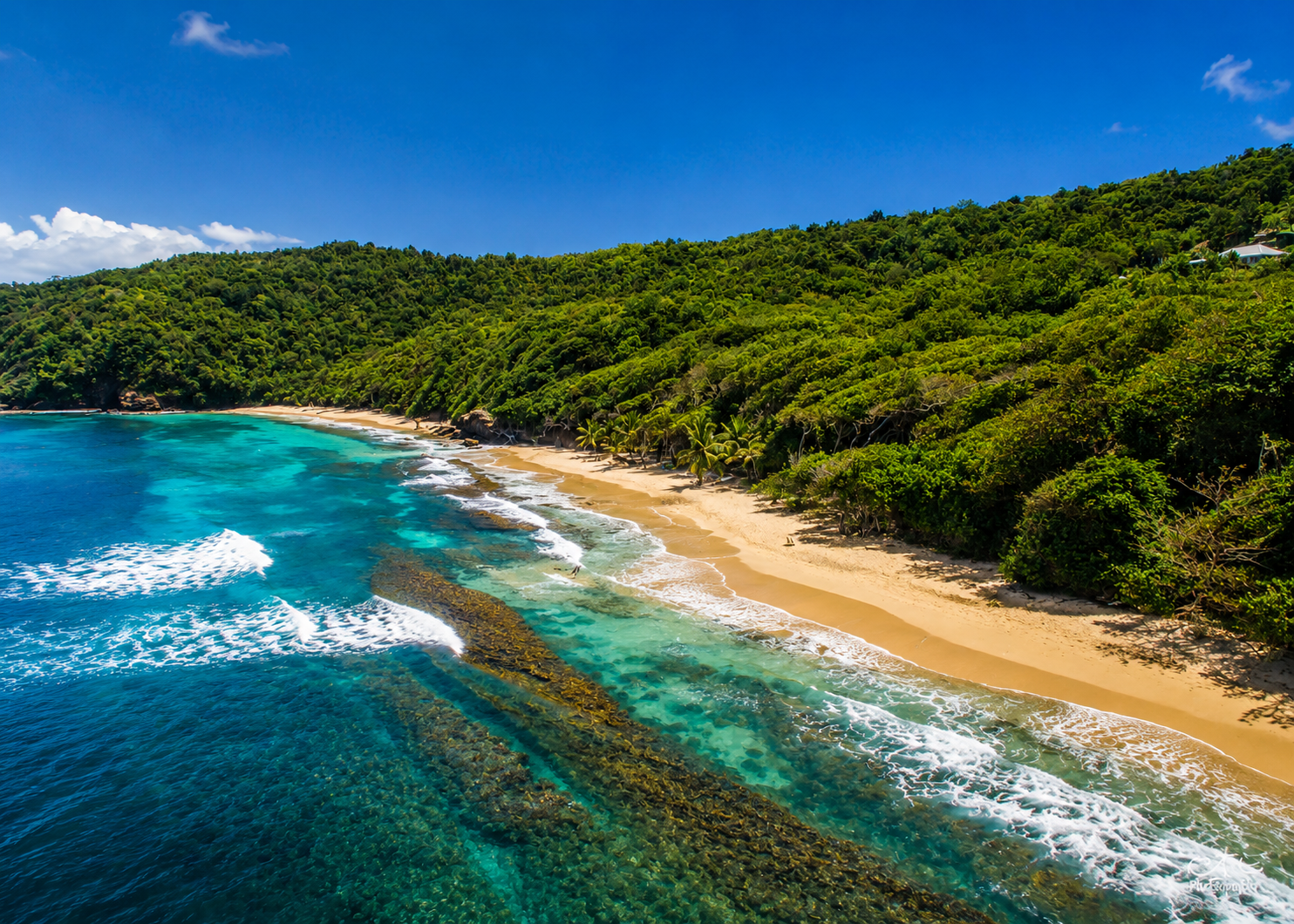 Vue aérienne du spot de surf de Tartane à La Trinité en Martinique, montrant les vagues et la plage sauvage.