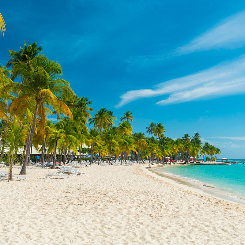 Plage de la caravelle saint anne avec des transats des cocotiers et la mer sous un soleil tropical.