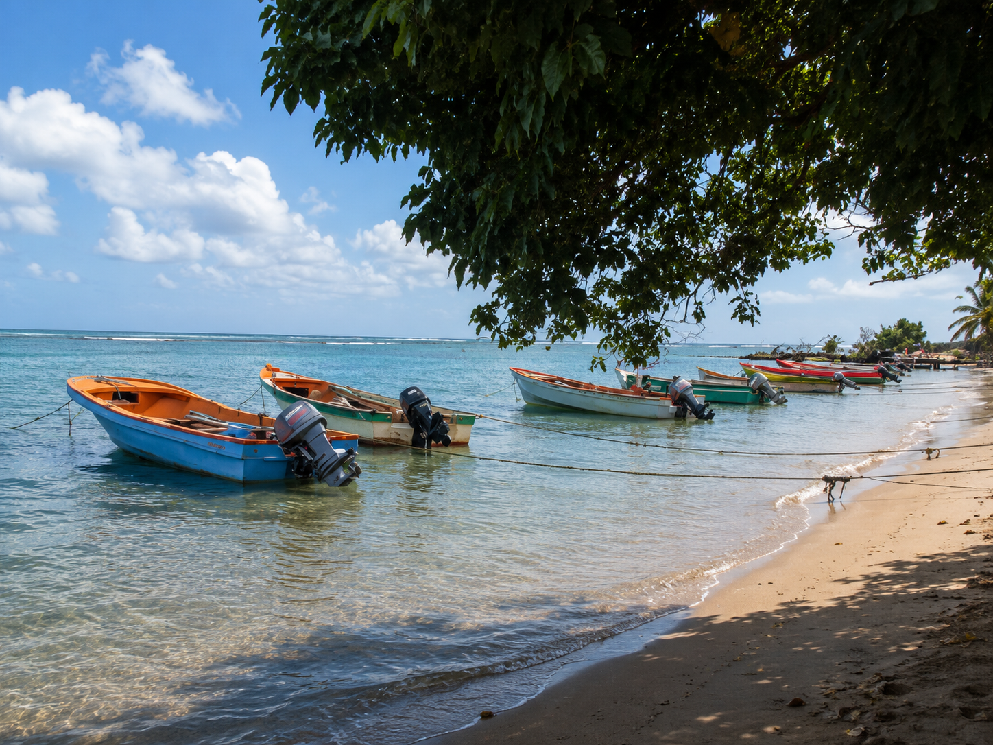 Bateaux de pêche colorés amarrés le long de la plage de sable du village de Tartane en Martinique.