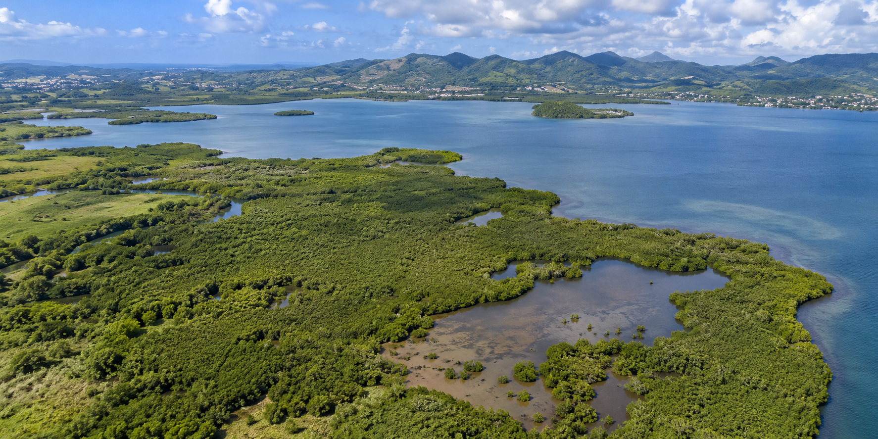 Vue aérienne de la baie de Génipa en Martinique, avec mangrove, lagune, îlots et montagnes tropicales en arrière-plan.