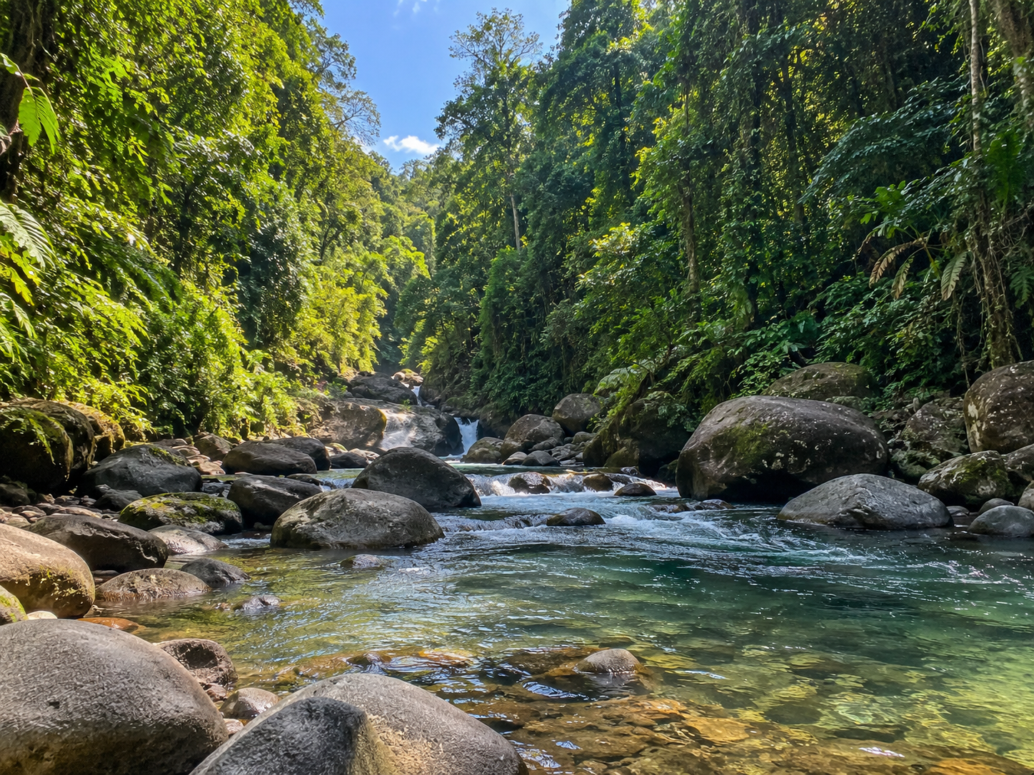 Rivière de Matouba à Saint-Claude en Guadeloupe, au cœur de la forêt tropicale avec ses rochers volcaniques et ses eaux cristallines.
