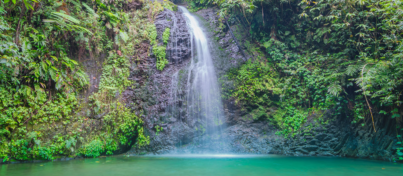 Cascade du saut du gendarme, Fonds-Saint-Denis, Martinique
