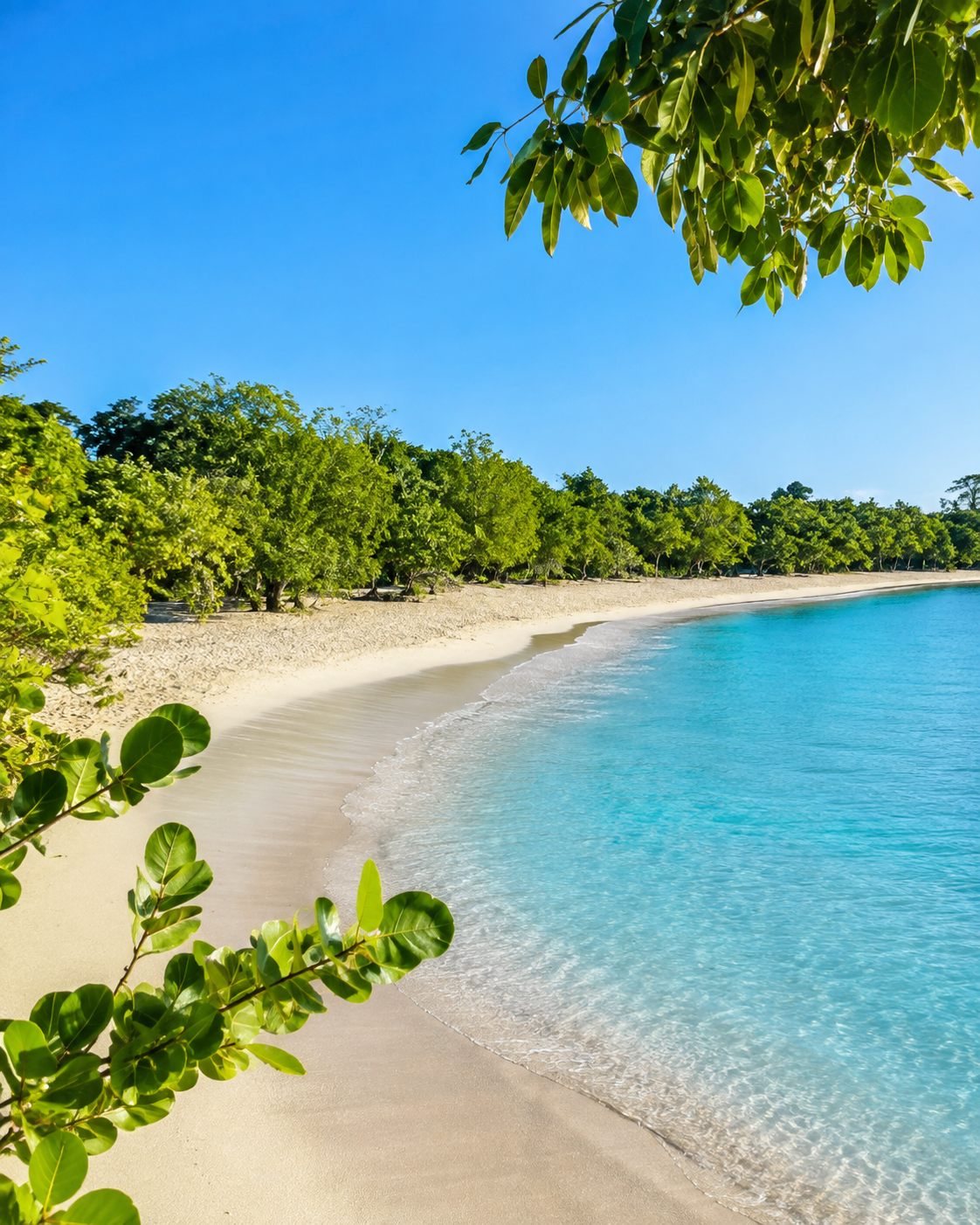 Plage de sable blanc et eau turquoise en Guadeloupe sous un ciel bleu tropical