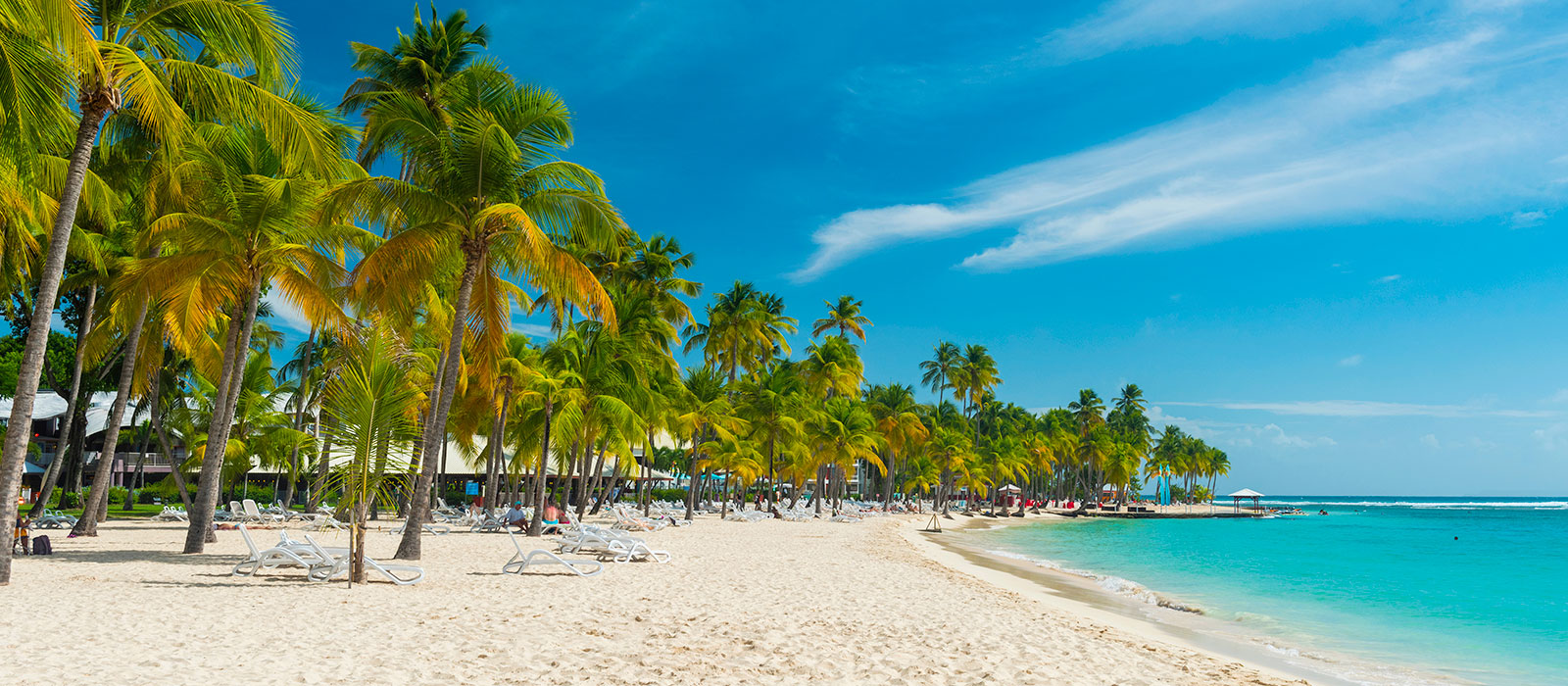 Plage de la Caravelle à Sainte-Anne : sable blanc fin, nombreux cocotiers, transats et mer turquoise sous un ciel bleu.